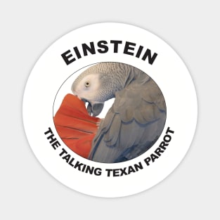 Einstein Parrot Small Logo Magnet